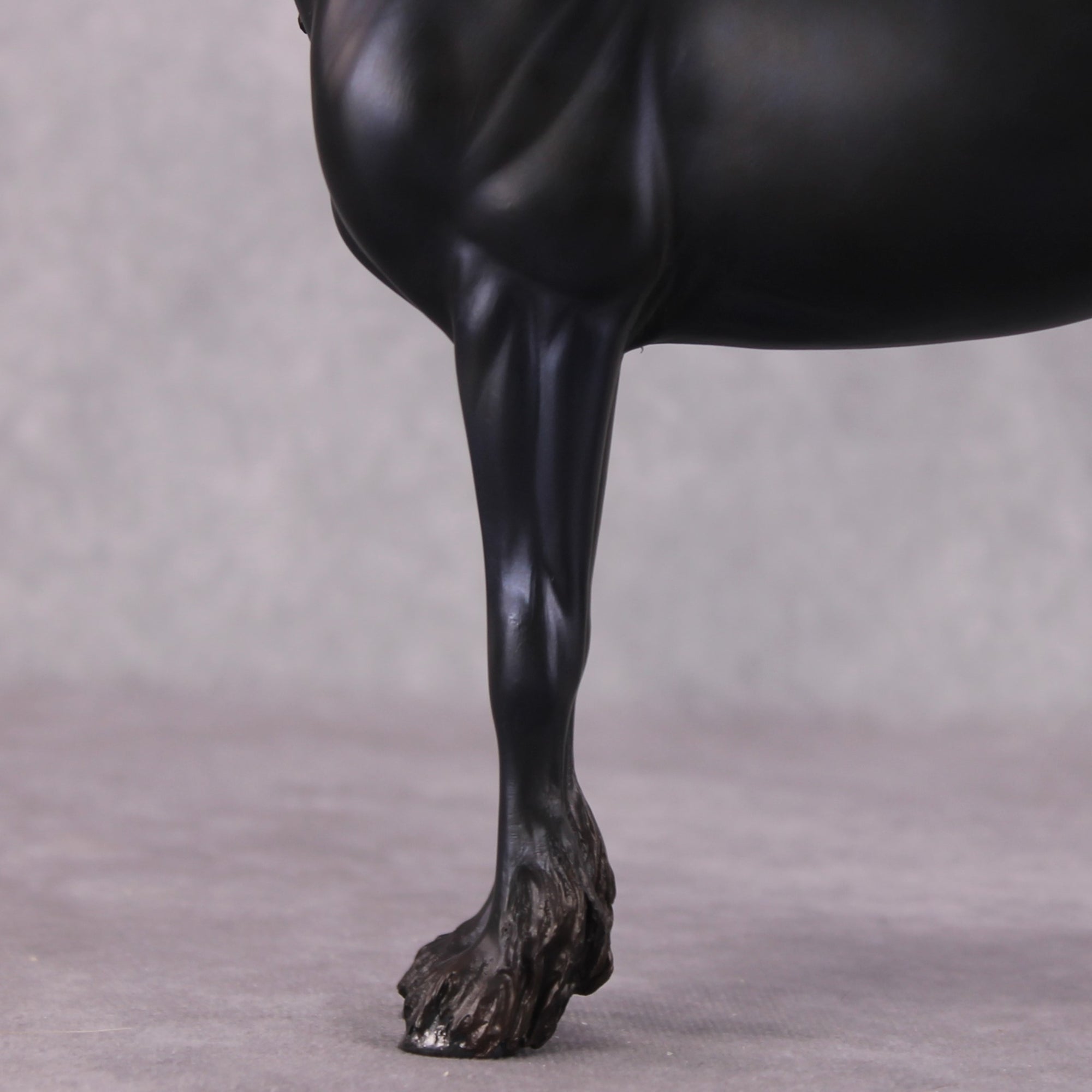 "Alessandra" FCM Andalusian By Kristen Cermele