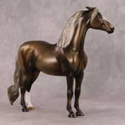 Luigi OOAK Chocolate Palomino Custom Pinned Eared Morgan By Angela Marleau HS24