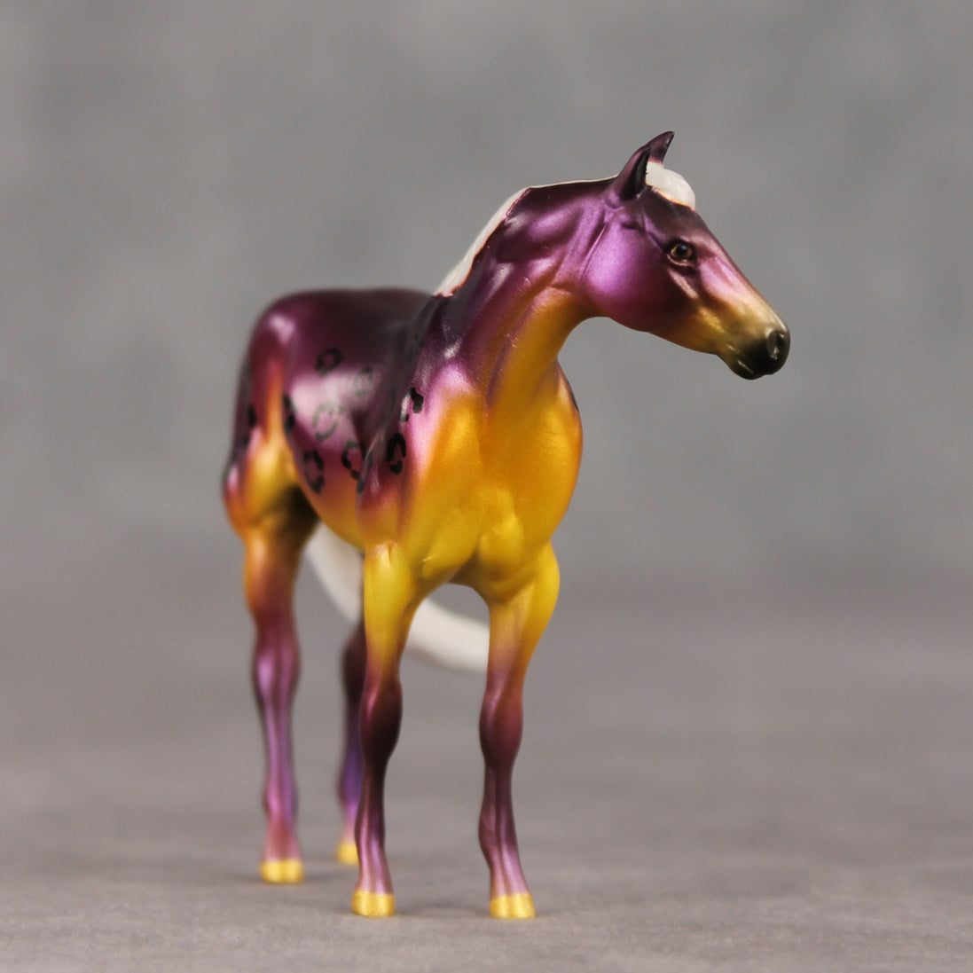 Samuel OOAK FCM Chip Stock Horse by Angela Marleau VTV26