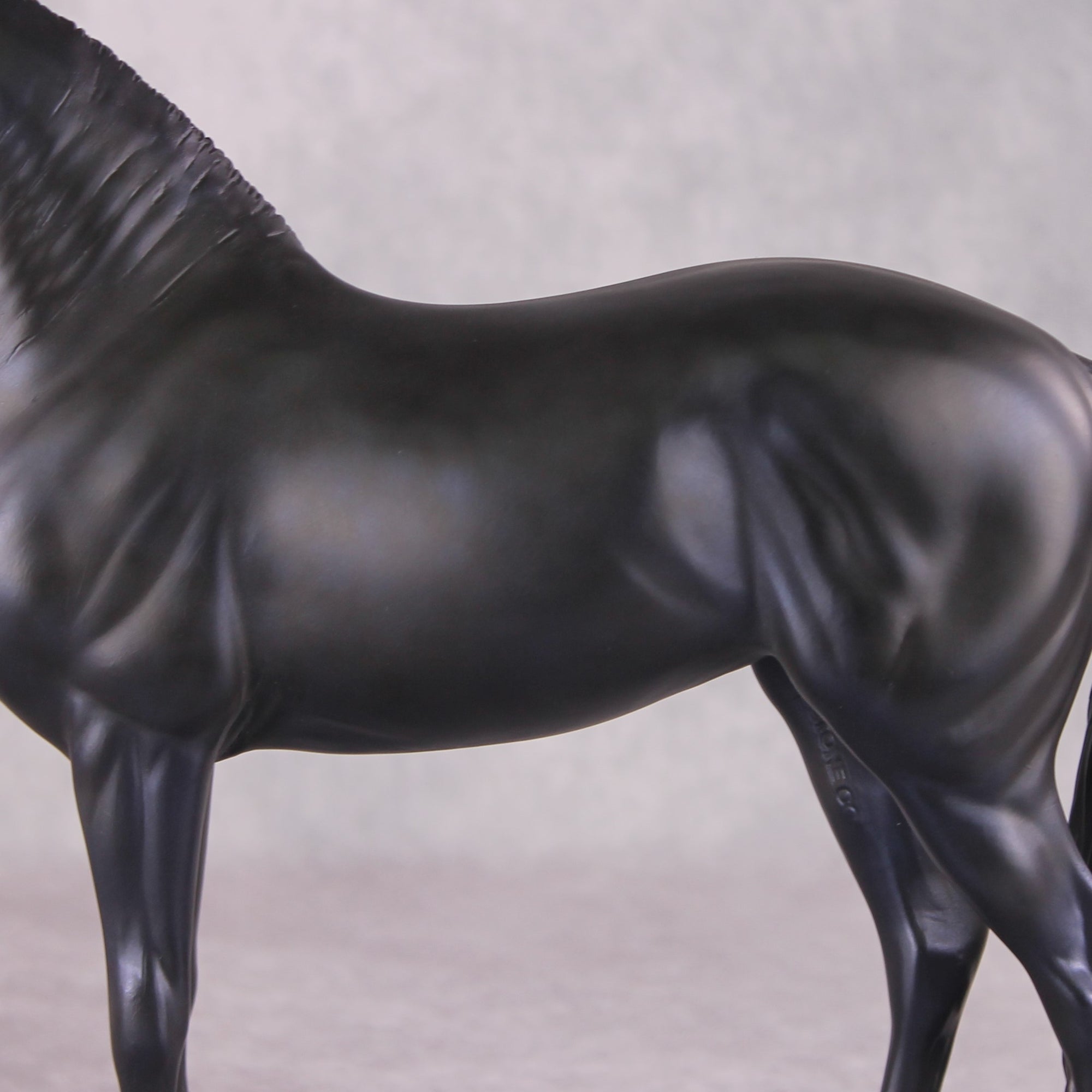 "Alessandra" FCM Andalusian By Kristen Cermele