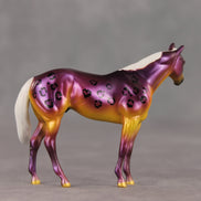 Samuel OOAK FCM Chip Stock Horse by Angela Marleau VTV26