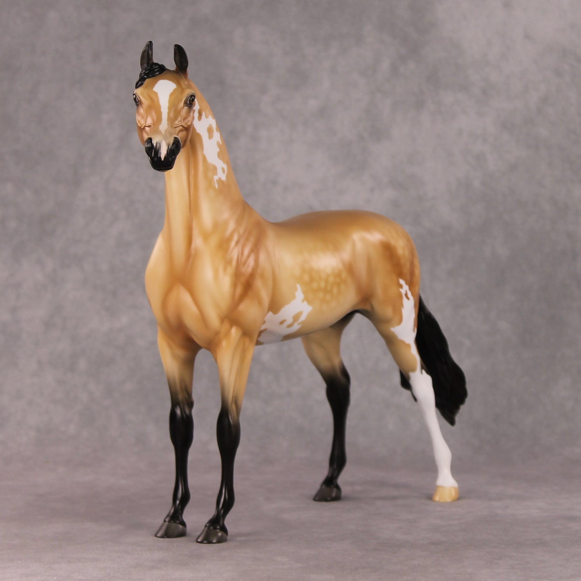 Cheeseburger Mac OOAK Dappled Buckskin Pinto Arabian By Angela Marleau HS24