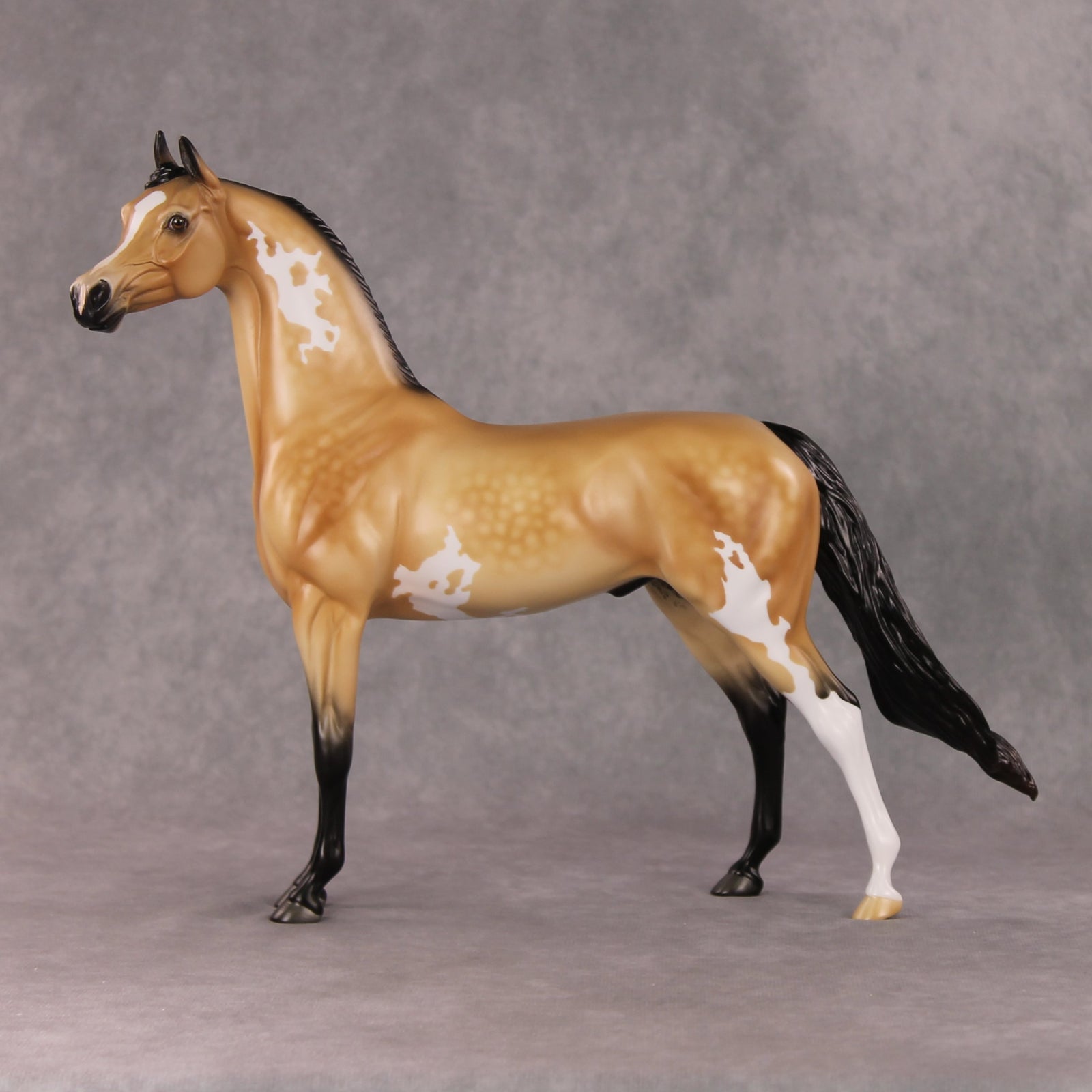 Cheeseburger Mac OOAK Dappled Buckskin Pinto Arabian By Angela Marleau HS24