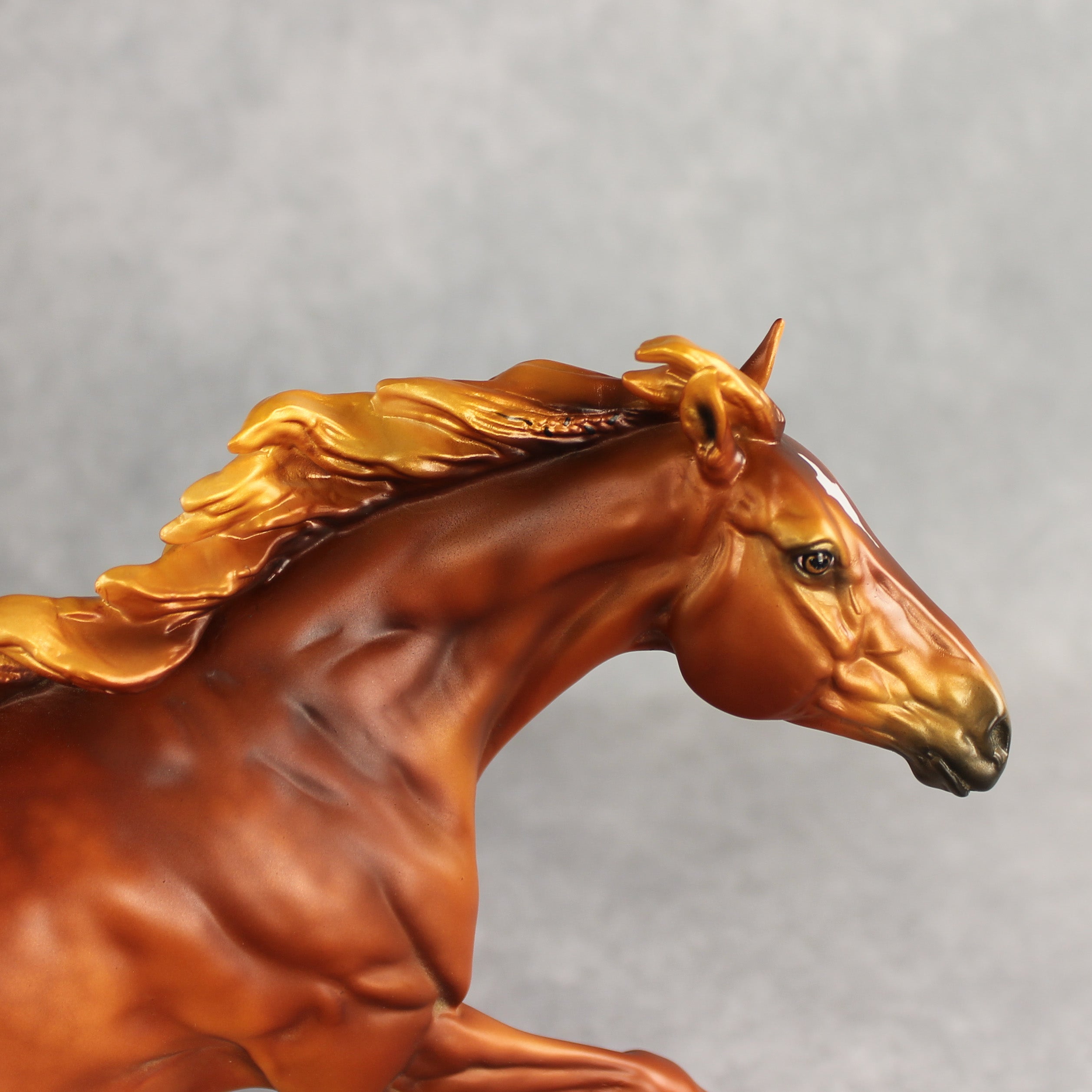 Summertime CJ LE-15 FCM Volo by Ellen Robbins & Melanie Miller EQ26