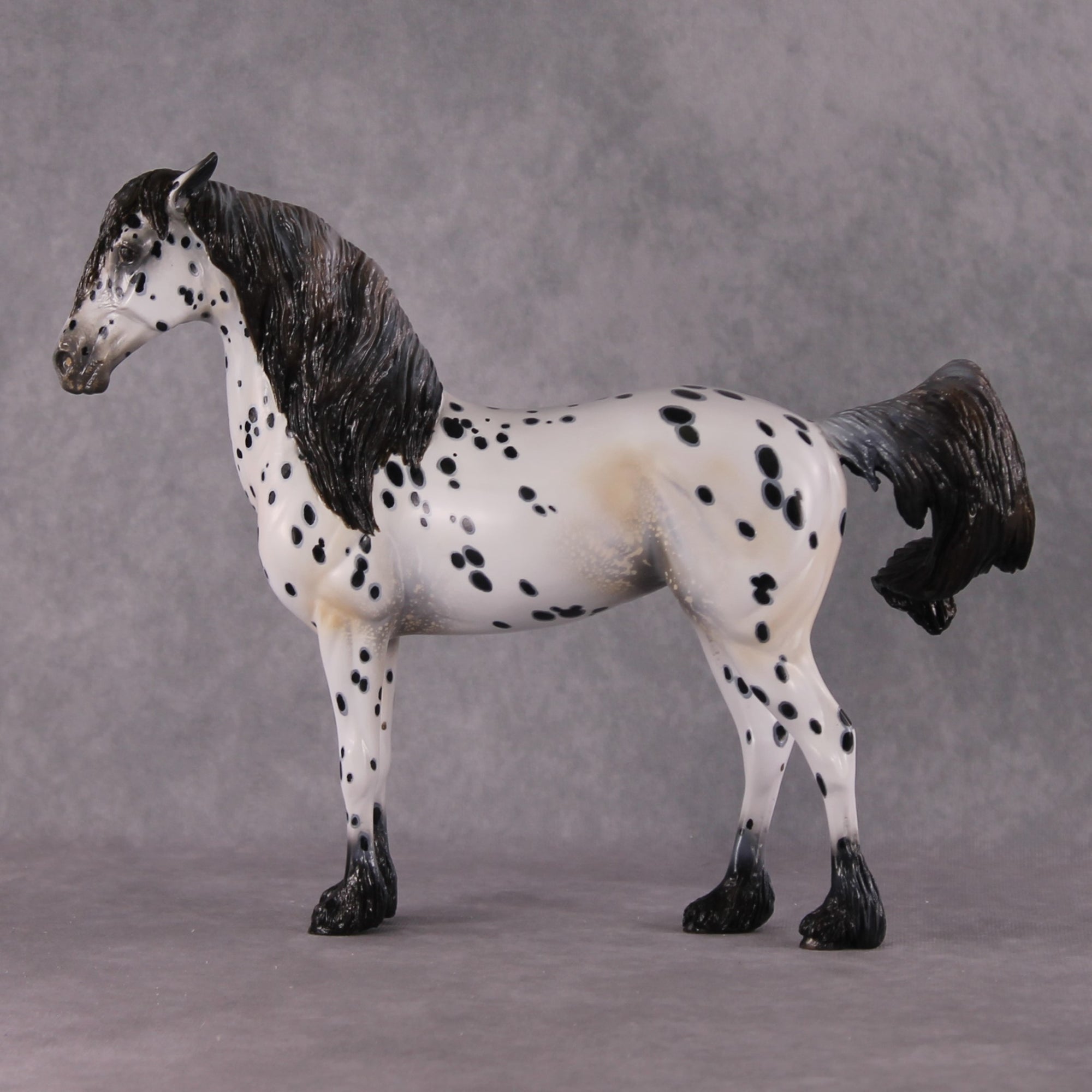 "Plein de Secrets" EFCM Glossy Andalusian By Kristen Cermele