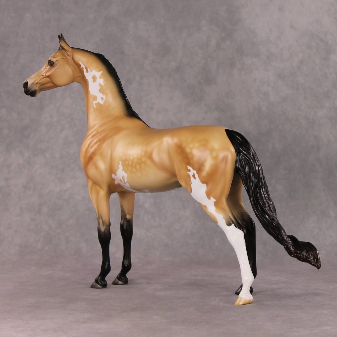 Cheeseburger Mac OOAK Dappled Buckskin Pinto Arabian By Angela Marleau HS24