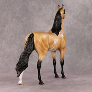 Cheeseburger Mac OOAK Dappled Buckskin Pinto Arabian By Angela Marleau HS24