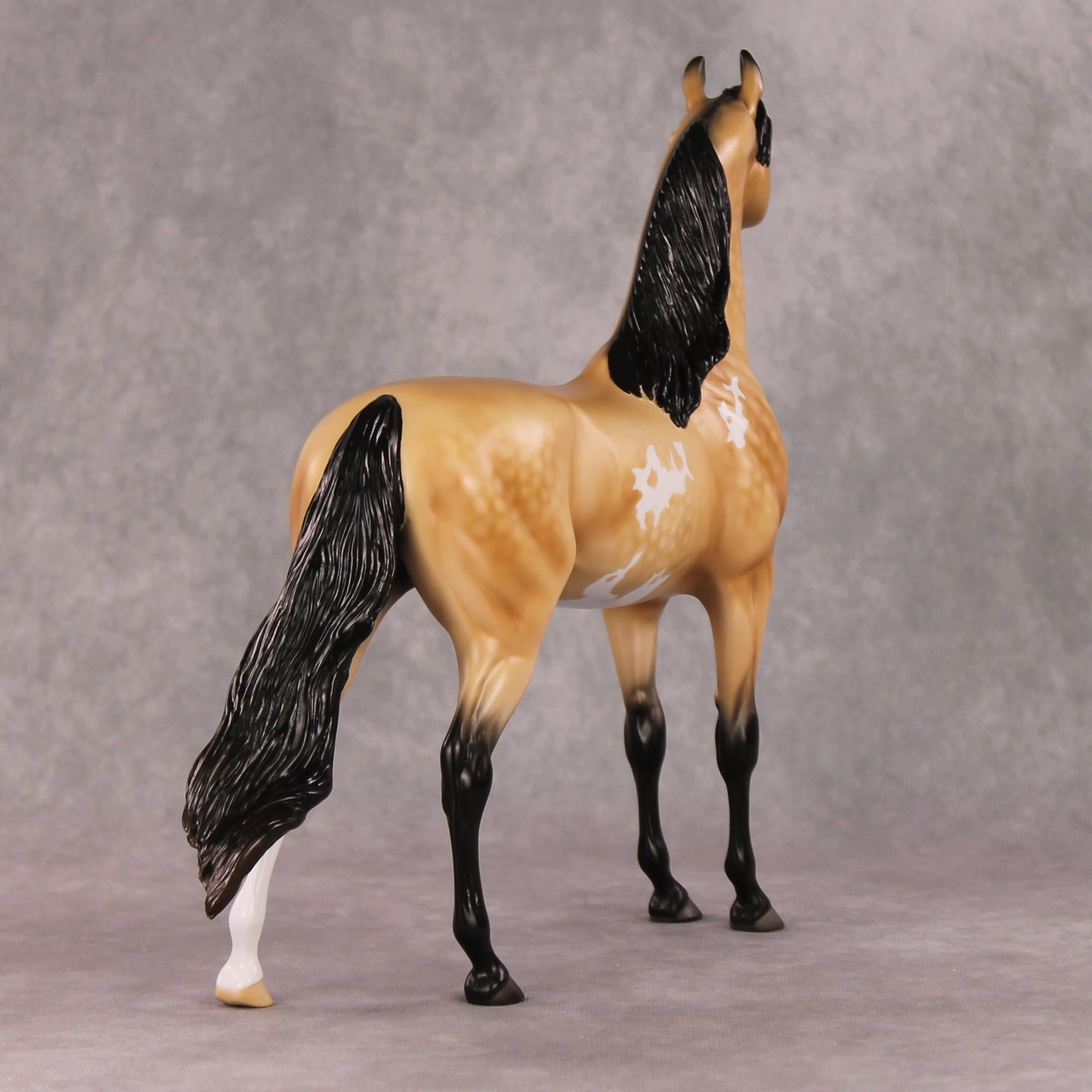 Cheeseburger Mac OOAK Dappled Buckskin Pinto Arabian By Angela Marleau HS24