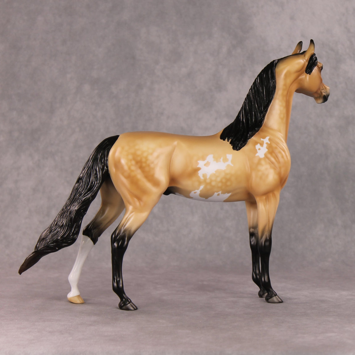 Cheeseburger Mac OOAK Dappled Buckskin Pinto Arabian By Angela Marleau HS24