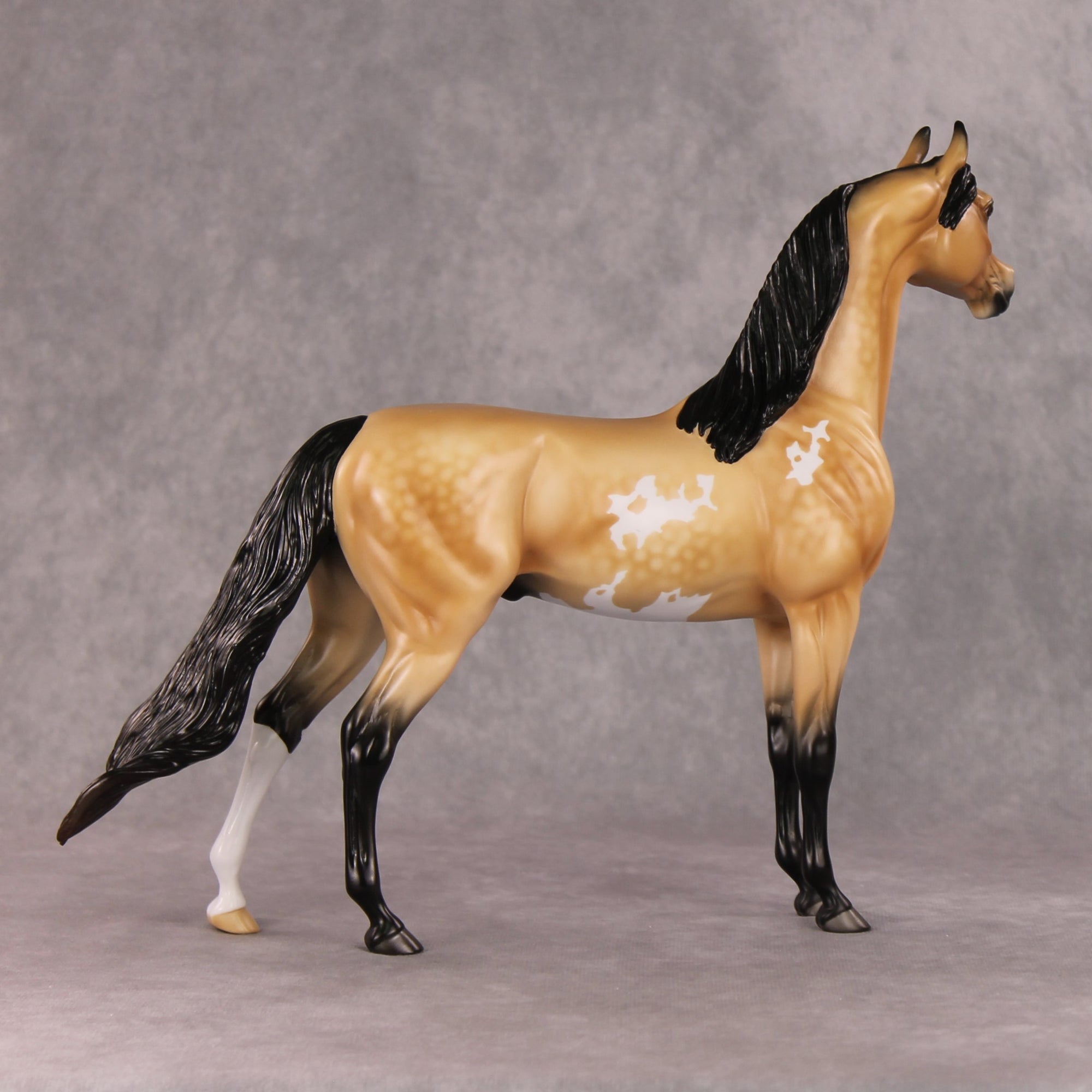 Cheeseburger Mac OOAK Dappled Buckskin Pinto Arabian By Angela Marleau HS24