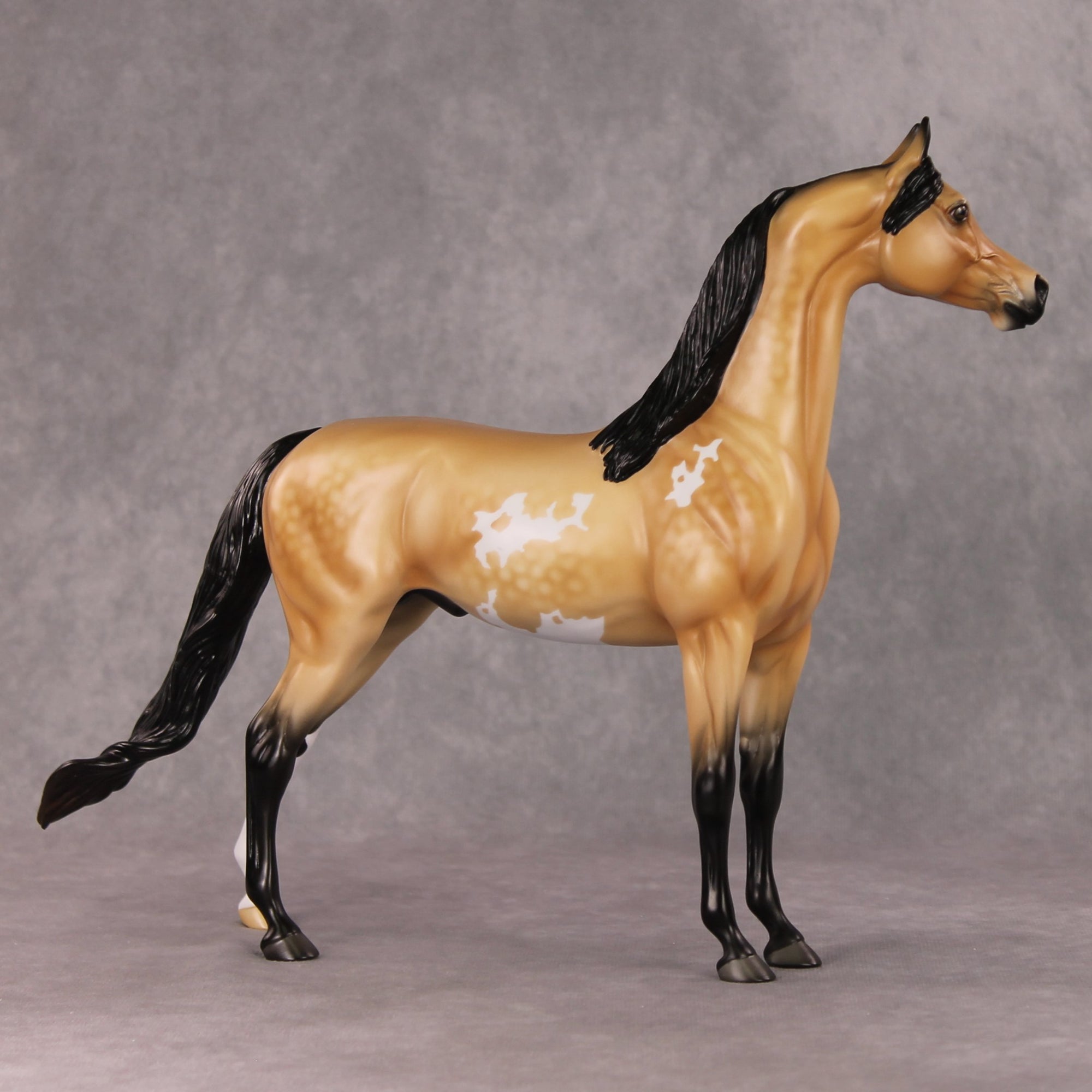 Cheeseburger Mac OOAK Dappled Buckskin Pinto Arabian By Angela Marleau HS24