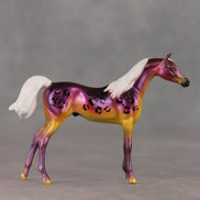 Justin OOAK FCM Chip Arabian by Angela Marleau VTV26