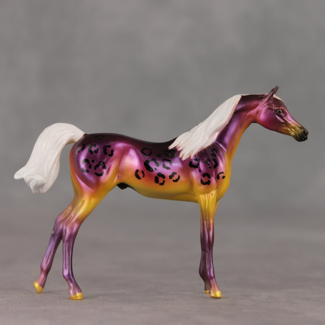 Justin OOAK FCM Chip Arabian by Angela Marleau VTV26