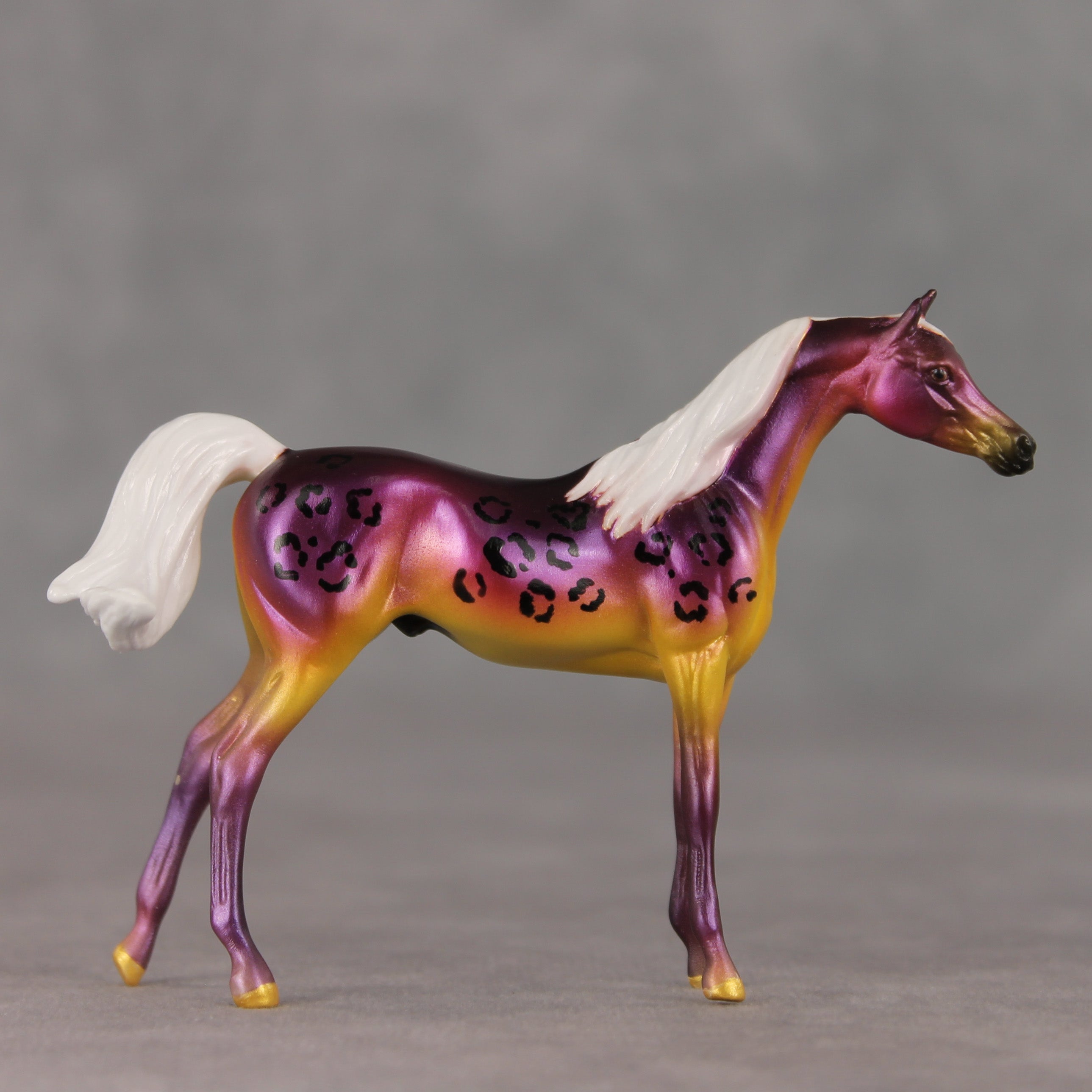 Justin OOAK FCM Chip Arabian by Angela Marleau VTV26