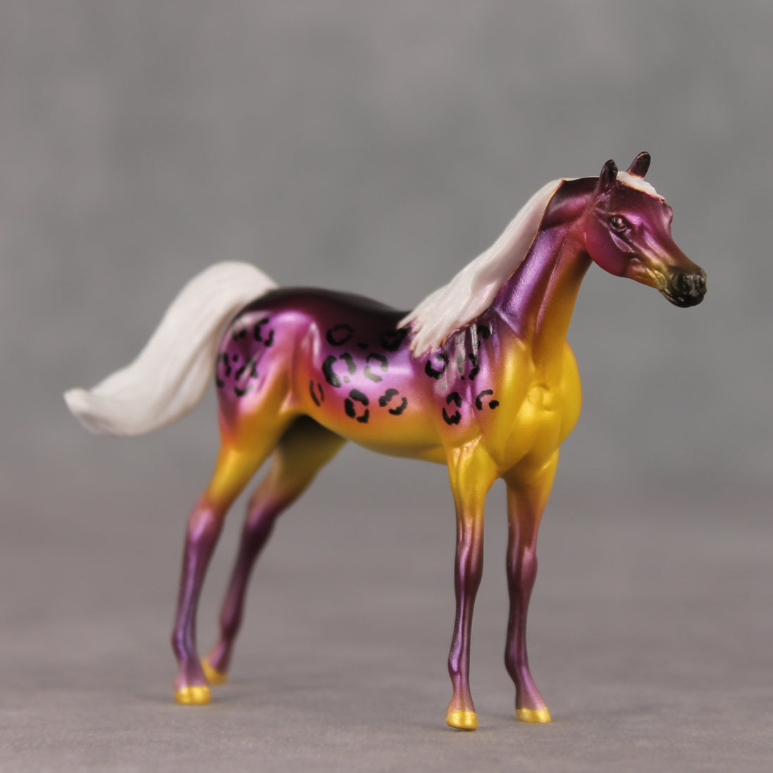 Justin OOAK FCM Chip Arabian by Angela Marleau VTV26