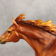 Summertime CJ LE-15 FCM Volo by Ellen Robbins & Melanie Miller EQ26
