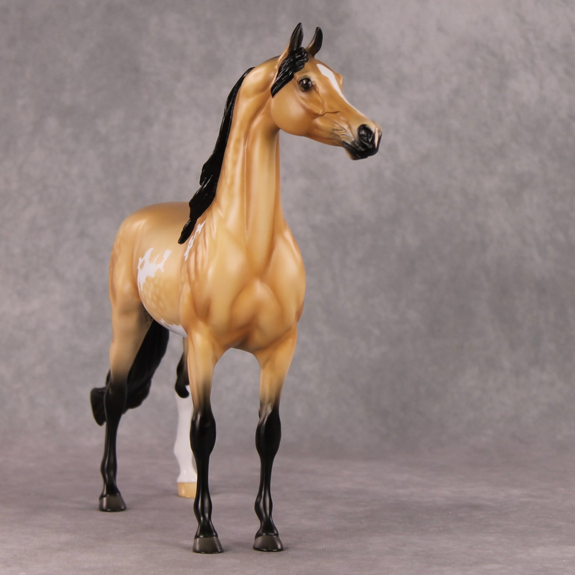 Cheeseburger Mac OOAK Dappled Buckskin Pinto Arabian By Angela Marleau HS24