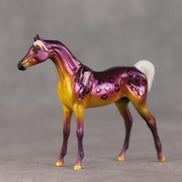 Justin OOAK FCM Chip Arabian by Angela Marleau VTV26