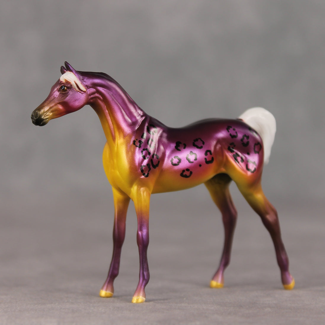 Justin OOAK FCM Chip Arabian by Angela Marleau VTV26