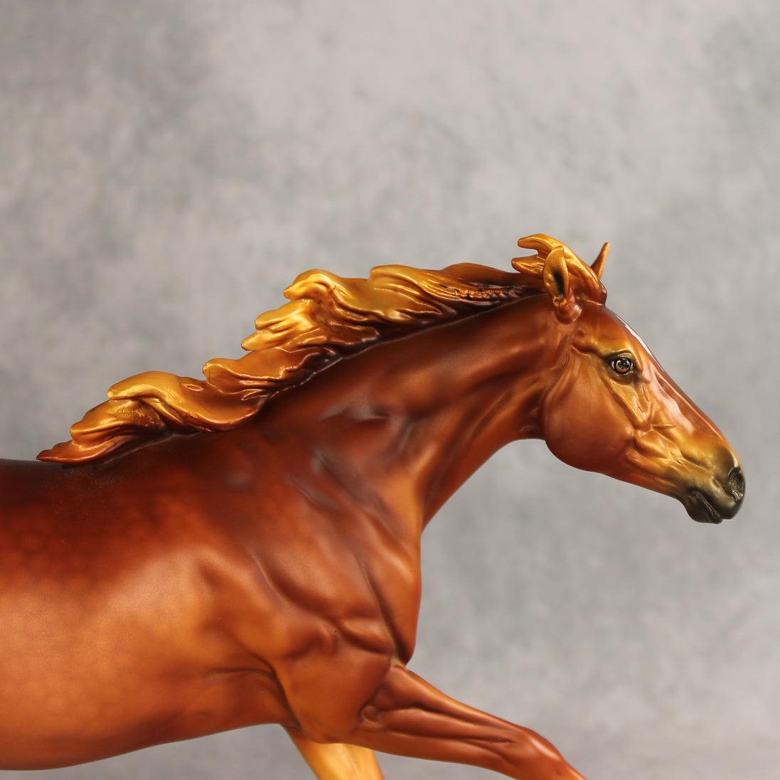 Summertime CJ LE-15 FCM Volo by Ellen Robbins & Melanie Miller EQ26