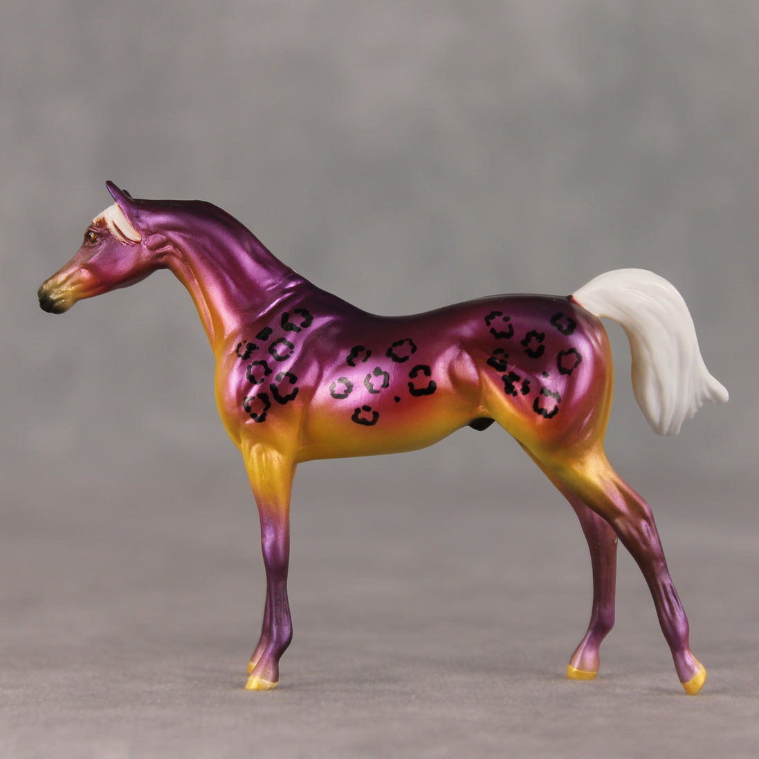 Justin OOAK FCM Chip Arabian by Angela Marleau VTV26