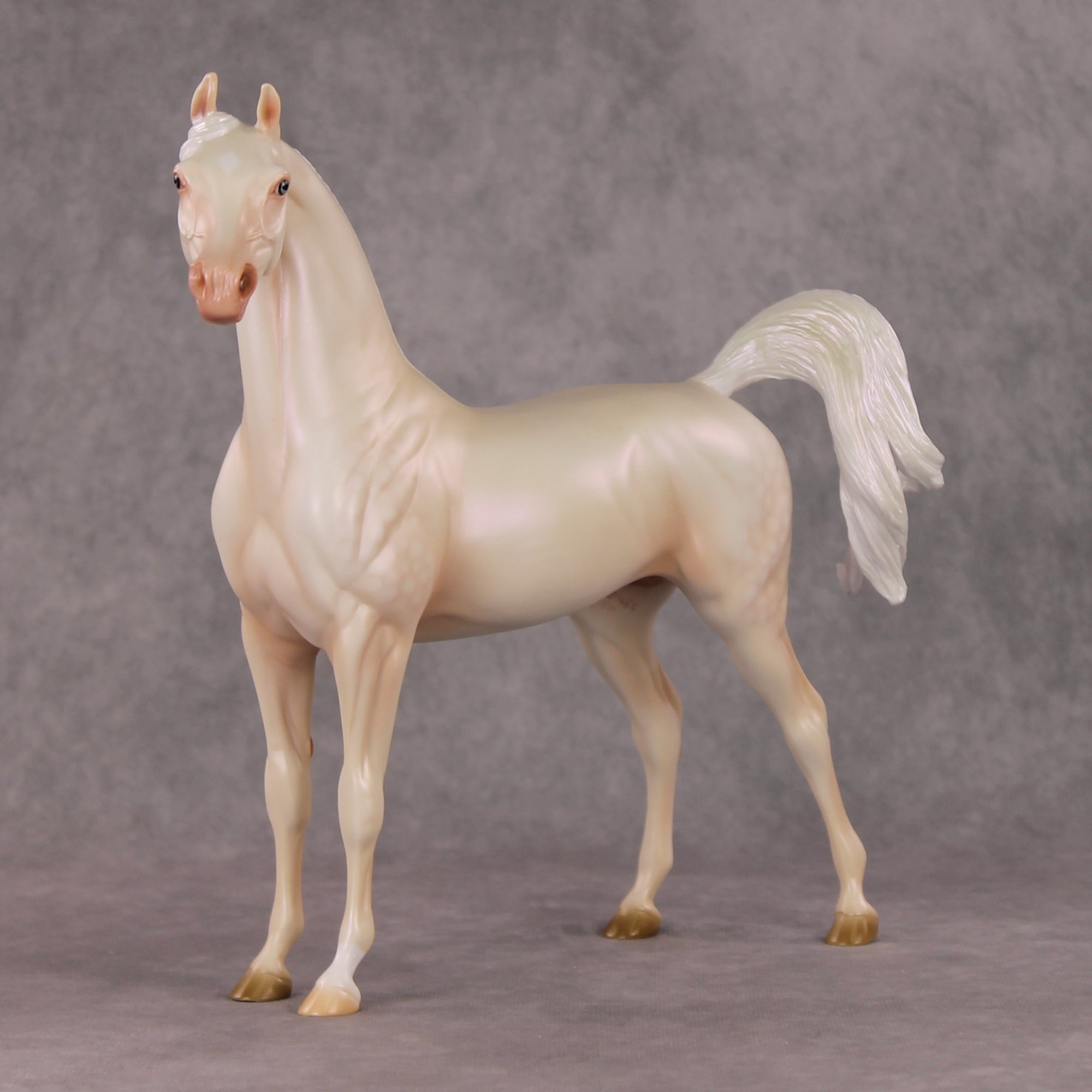 Meringue OOAK Dappled Cremello Arabian By Ashley Palmer HS24