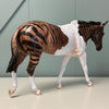 Mingulay OOAK Pinto Zebra Hybrid Mule By Jess Hamill EQ24 End of Month Sample and OOAK Sale SS724