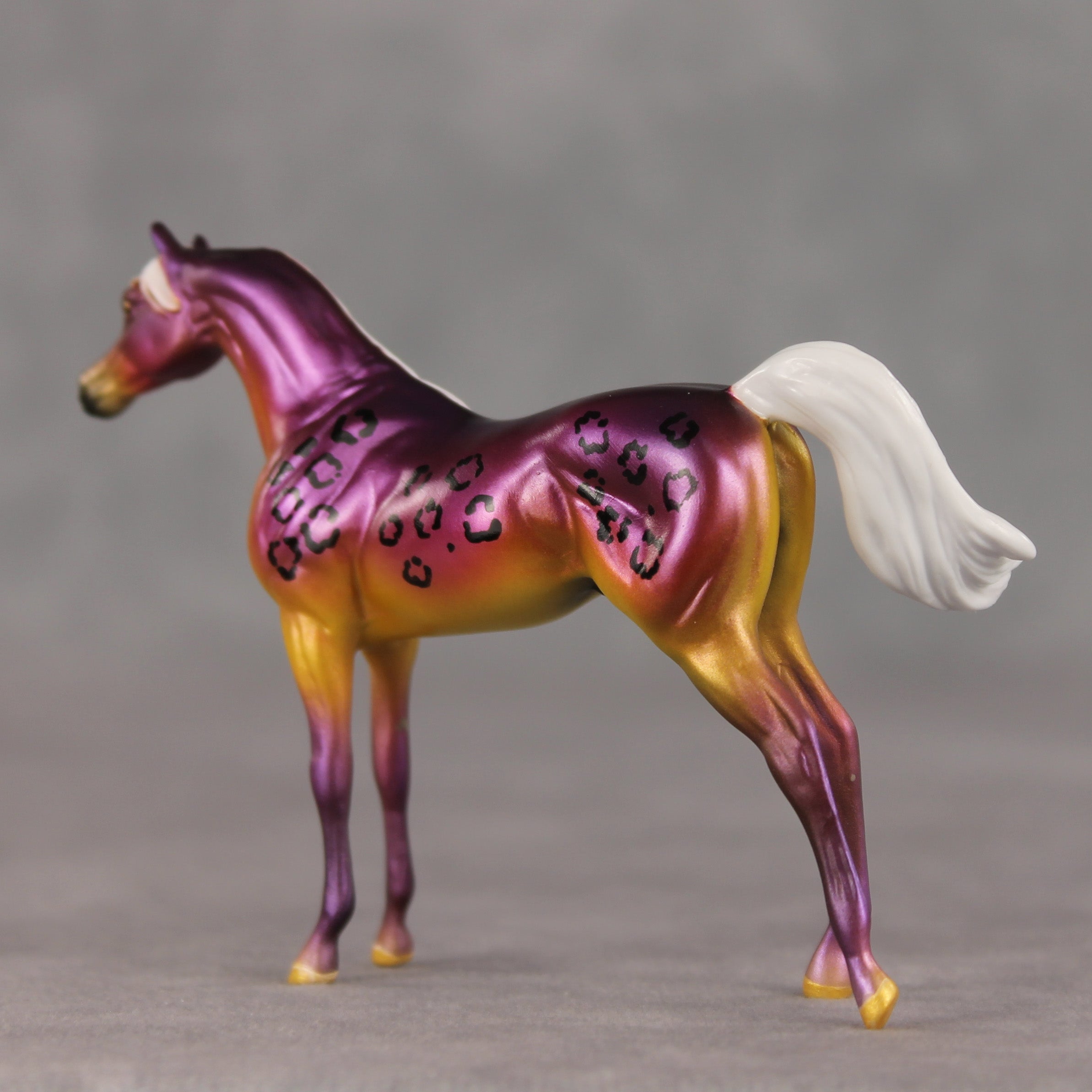 Justin OOAK FCM Chip Arabian by Angela Marleau VTV26