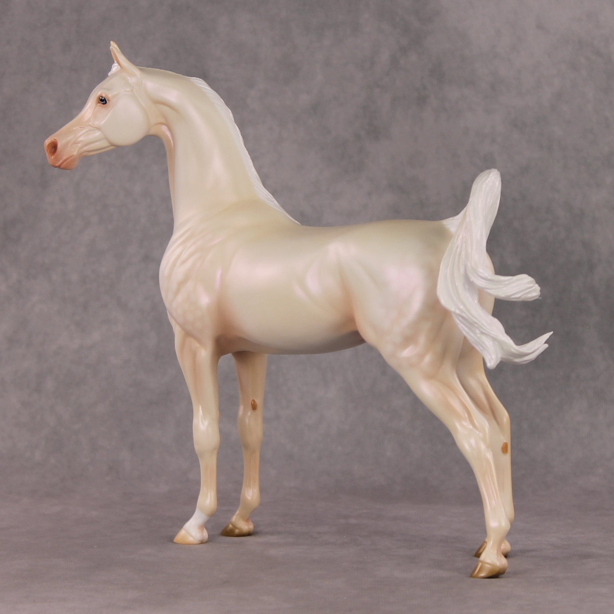 Meringue OOAK Dappled Cremello Arabian By Ashley Palmer HS24