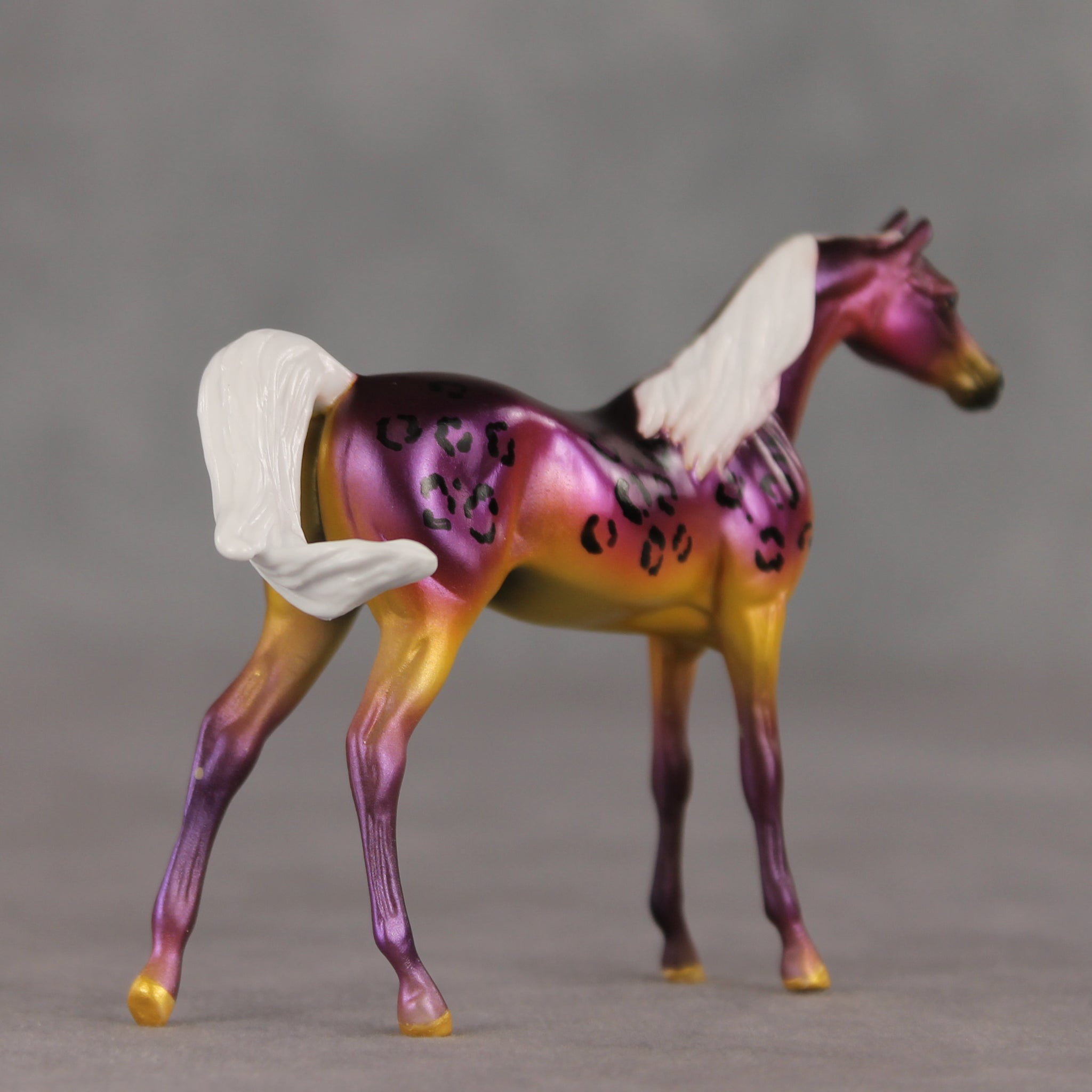 Justin OOAK FCM Chip Arabian by Angela Marleau VTV26