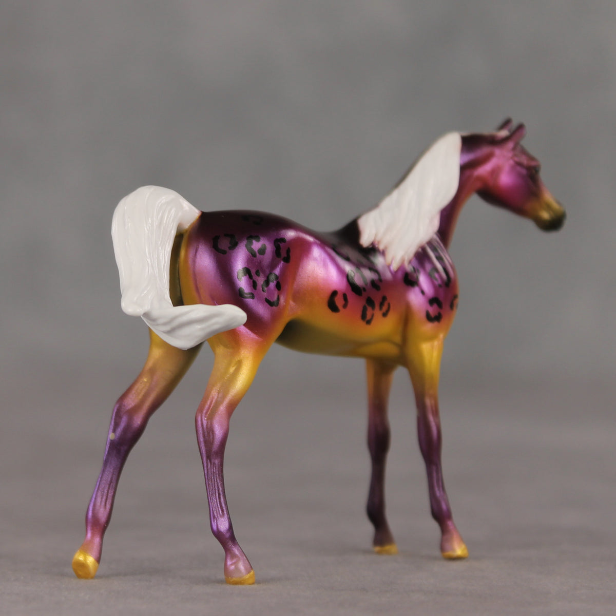 Justin OOAK FCM Chip Arabian by Angela Marleau VTV26