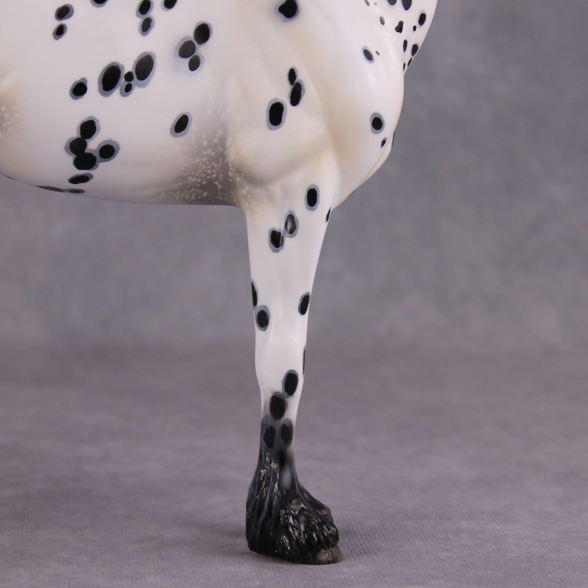 "Plein de Secrets" EFCM Glossy Andalusian By Kristen Cermele