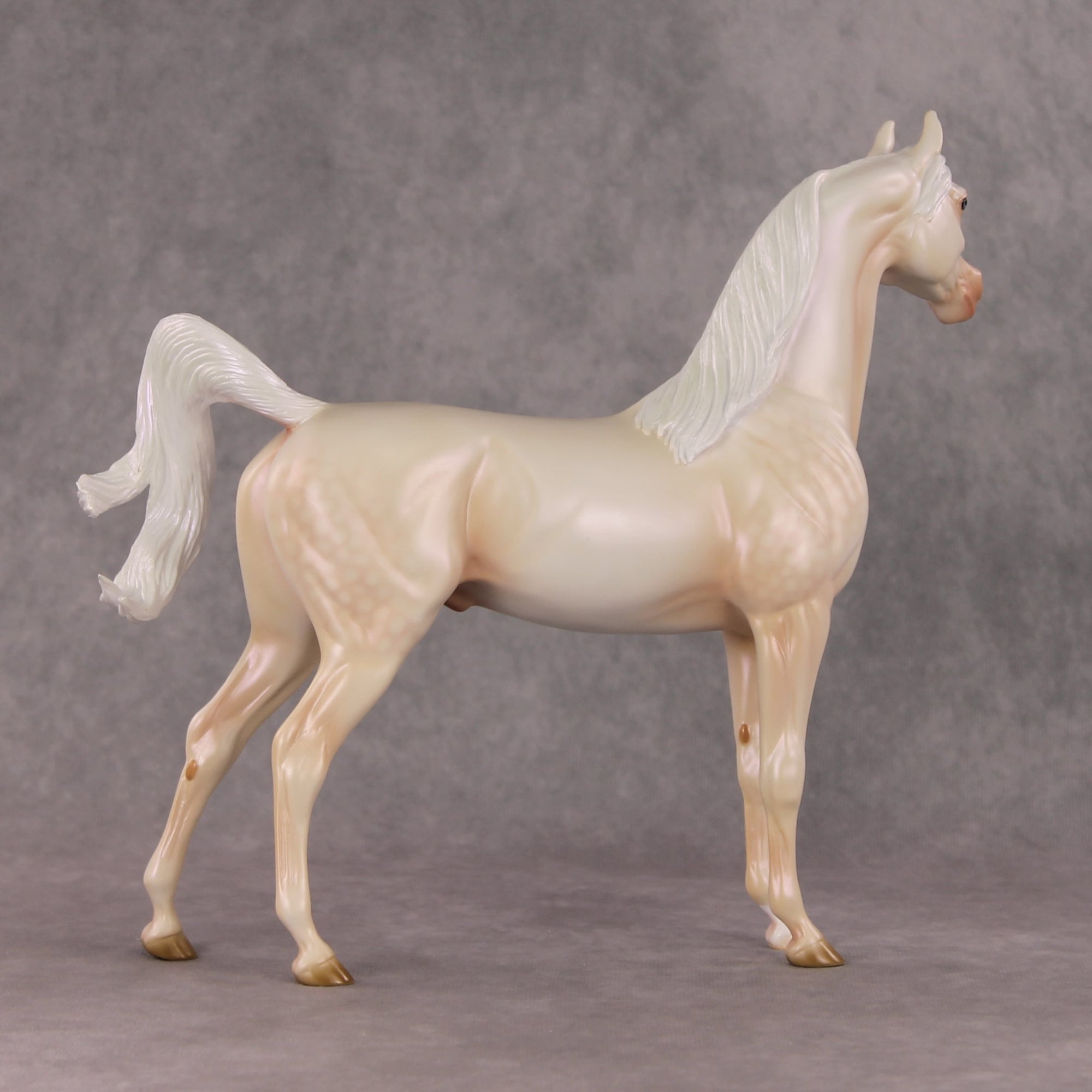 Meringue OOAK Dappled Cremello Arabian By Ashley Palmer HS24