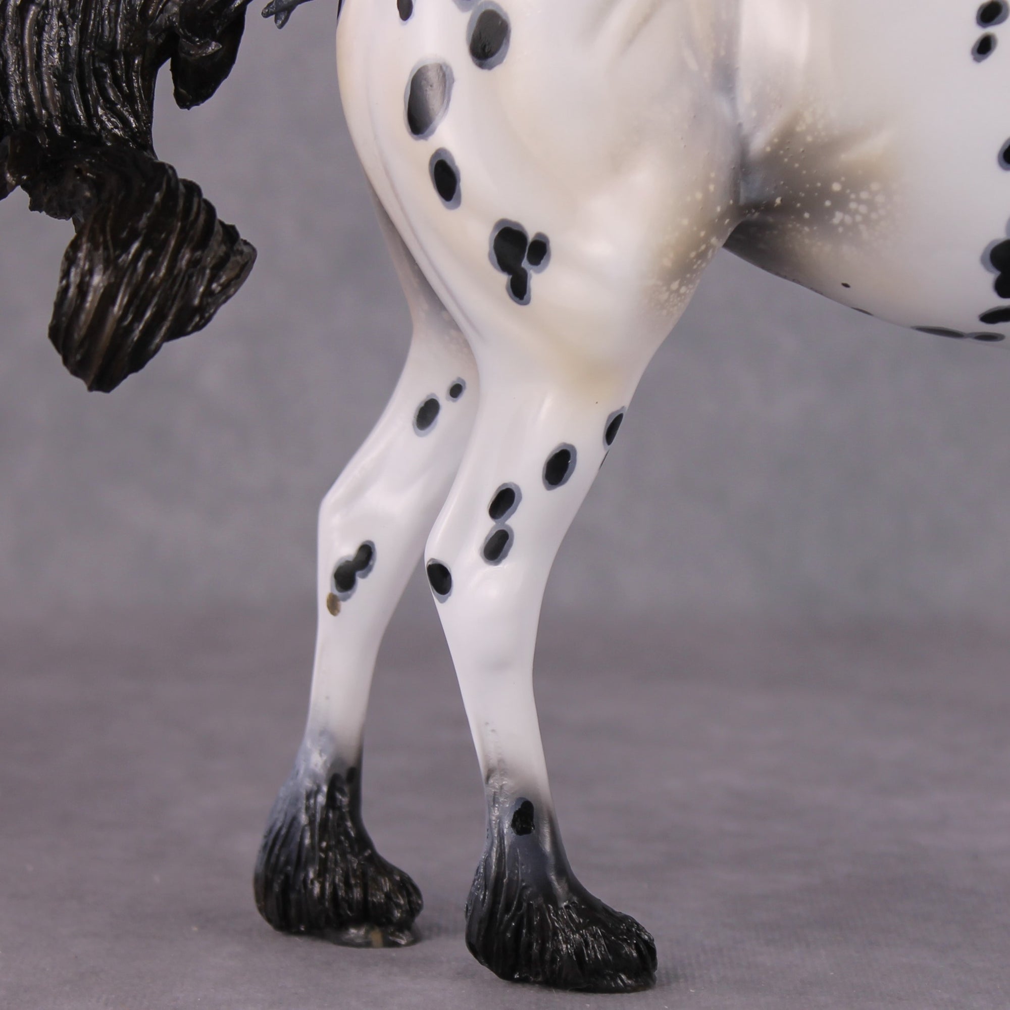 "Plein de Secrets" EFCM Glossy Andalusian By Kristen Cermele