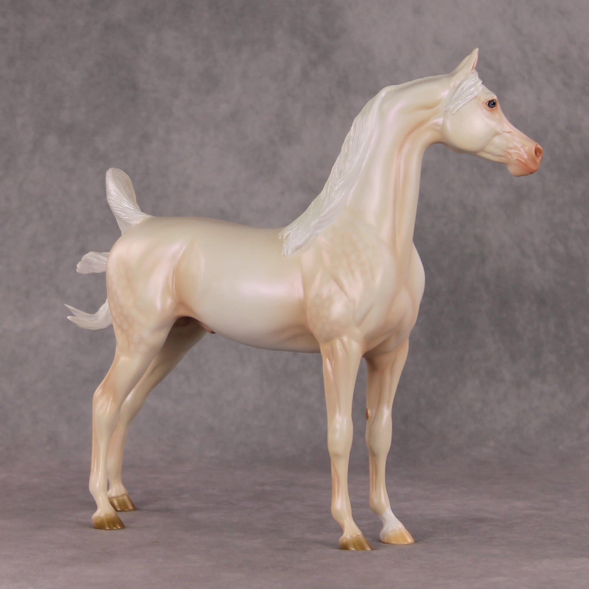 Meringue OOAK Dappled Cremello Arabian By Ashley Palmer HS24