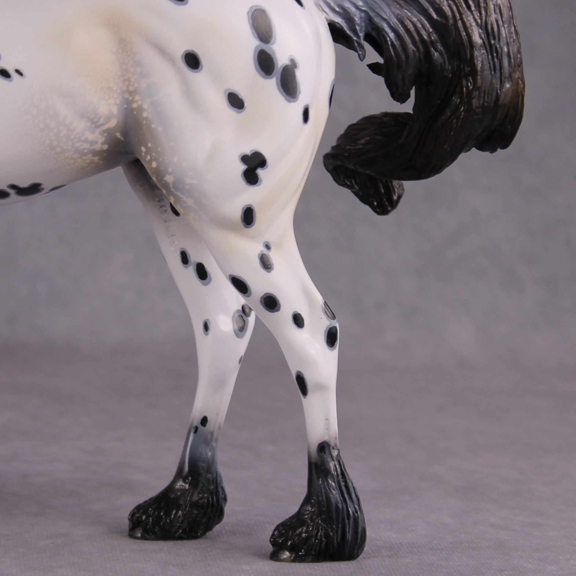 "Plein de Secrets" EFCM Glossy Andalusian By Kristen Cermele