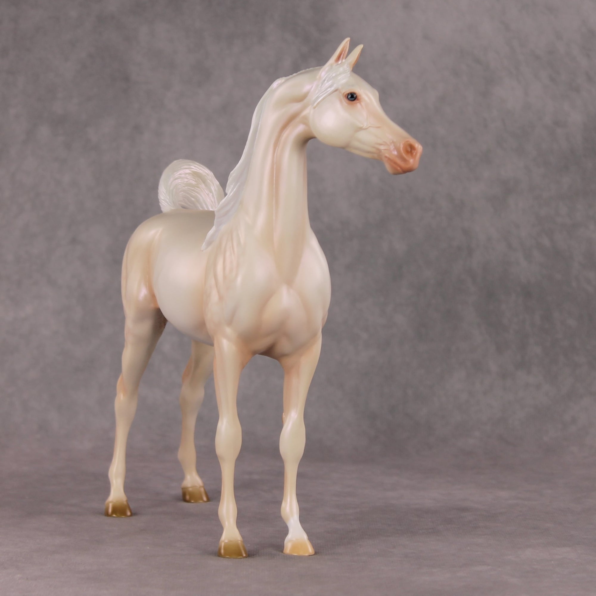 Meringue OOAK Dappled Cremello Arabian By Ashley Palmer HS24