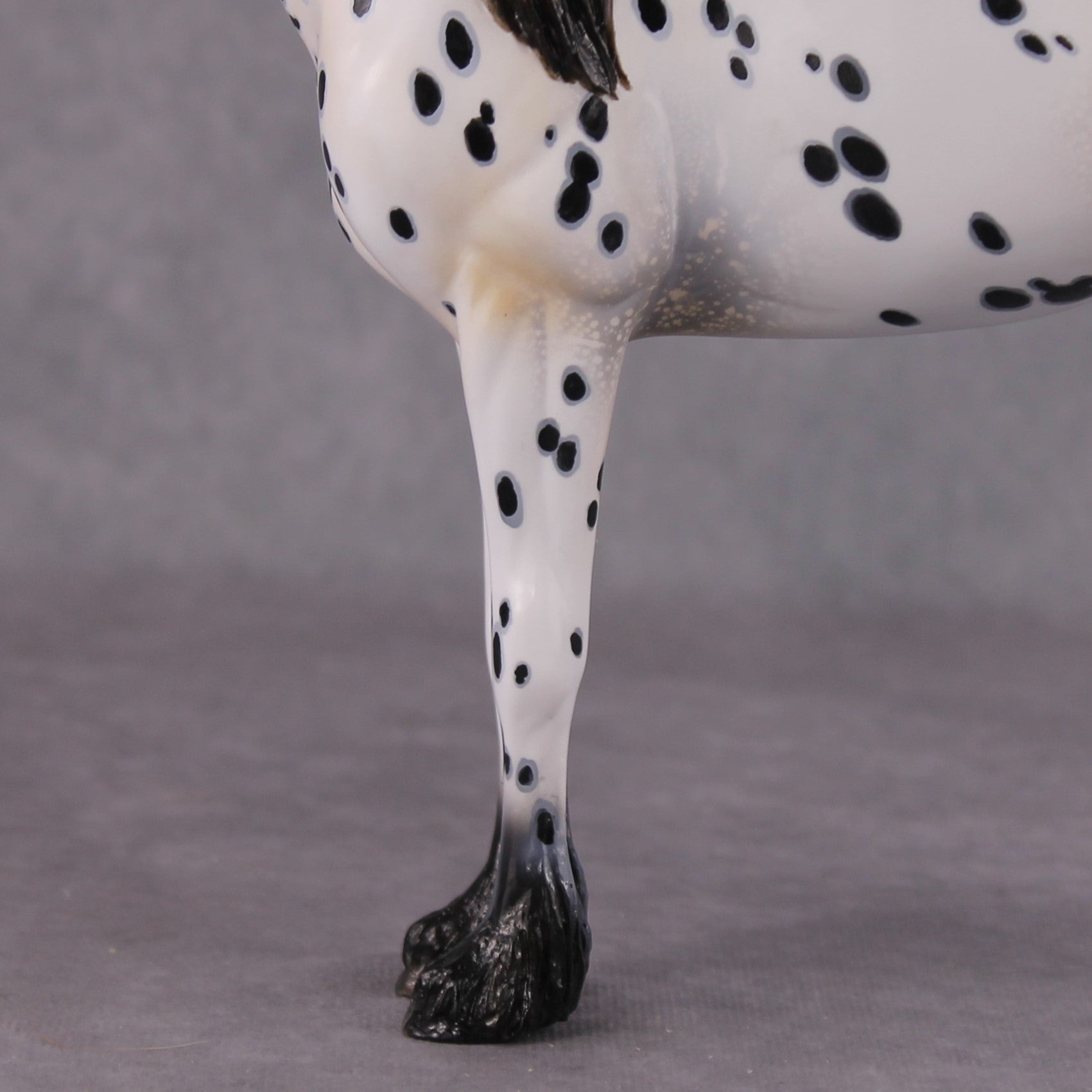 "Plein de Secrets" EFCM Glossy Andalusian By Kristen Cermele