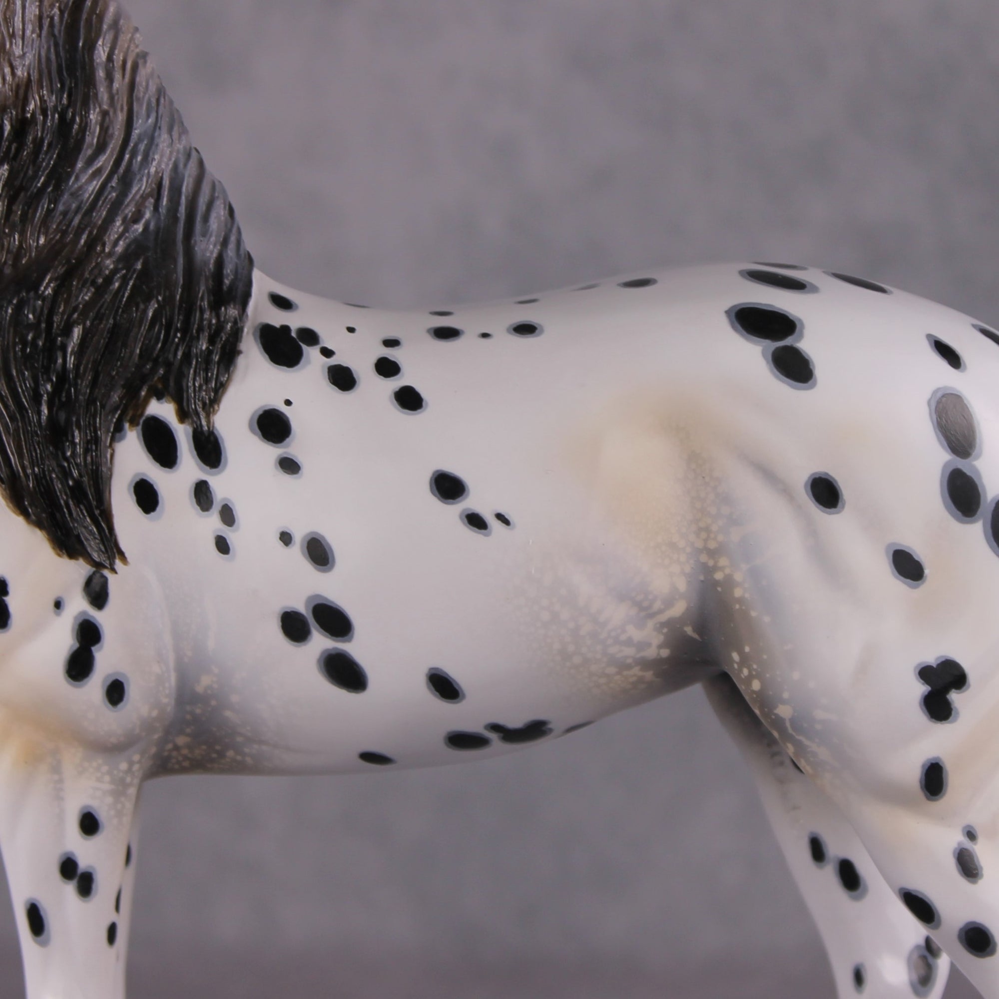 "Plein de Secrets" EFCM Glossy Andalusian By Kristen Cermele