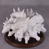 DAH25 &quot;A Cluster&quot; - April Release PMH34D5