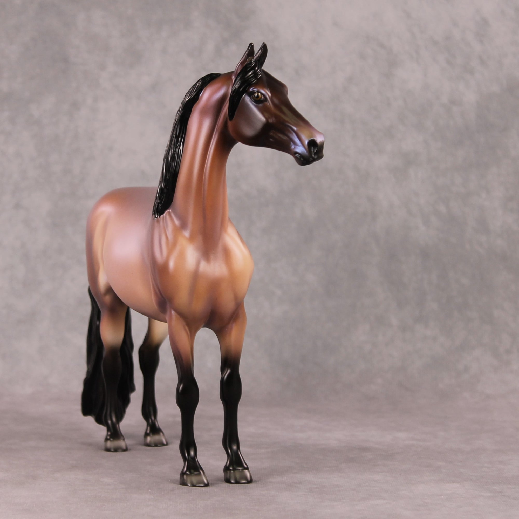 Awaiting the Thaw OOAK Bay Roan Morgan By Ellen Robbins HS24