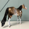 Vanishing Point OOAK Dappled Buckskin Ideal Stock Horse By Dawn Quick EQ24