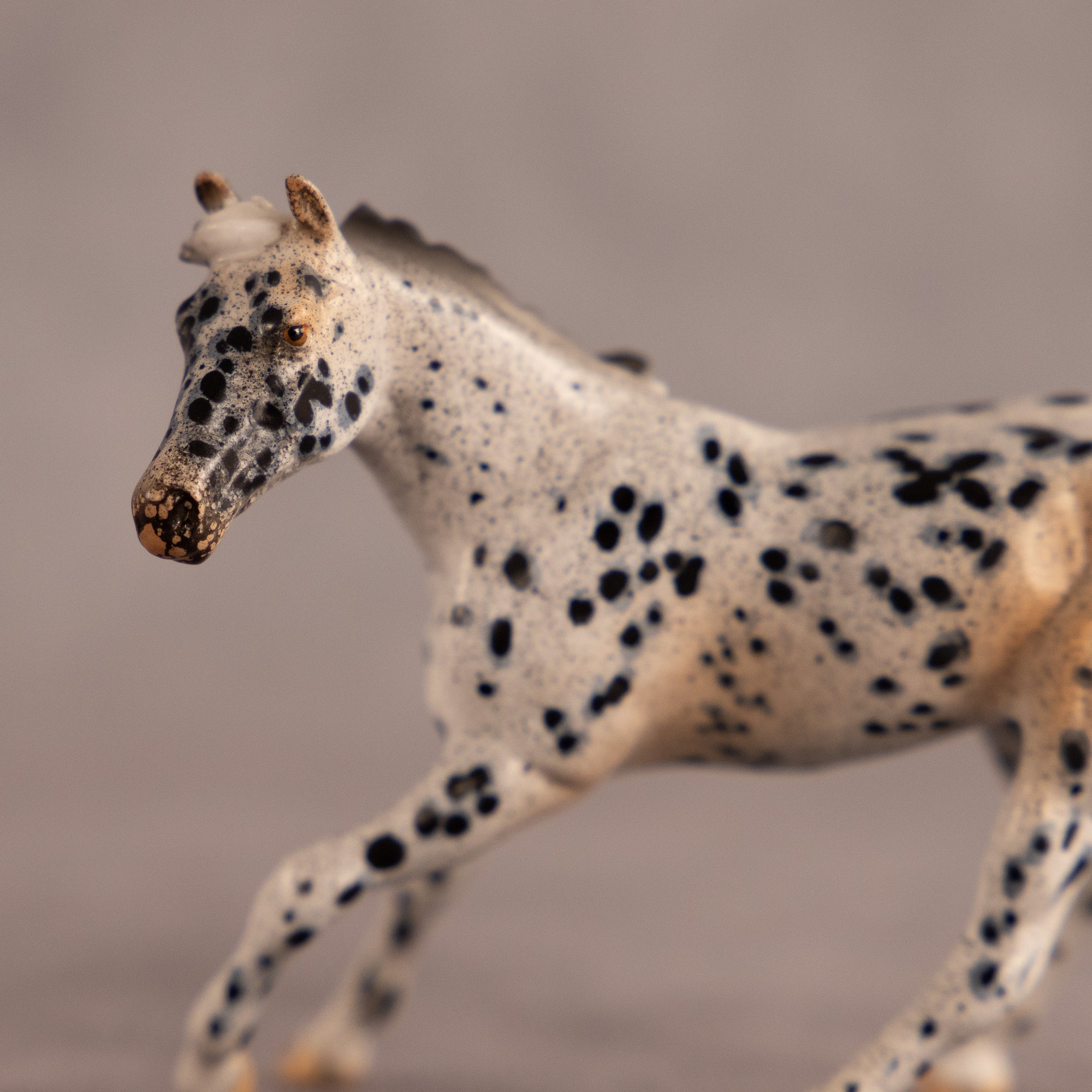 Wild Thing OOAK Chip Cutting Horse by Anna Rieck EQ26
