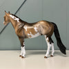 Vanishing Point OOAK Dappled Buckskin Ideal Stock Horse By Dawn Quick EQ24