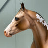 Vanishing Point OOAK Dappled Buckskin Ideal Stock Horse By Dawn Quick EQ24