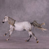 Art of the Horse &quot;Eunoia&quot; LE-15 GLOSSY FCM Volo by Julie Keim EQ25