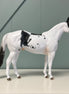 Accolade OOAK Gray Tobiano Ideal Stock Horse By Dawn Quick EQ24