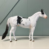 Accolade OOAK Gray Tobiano Ideal Stock Horse By Dawn Quick EQ24