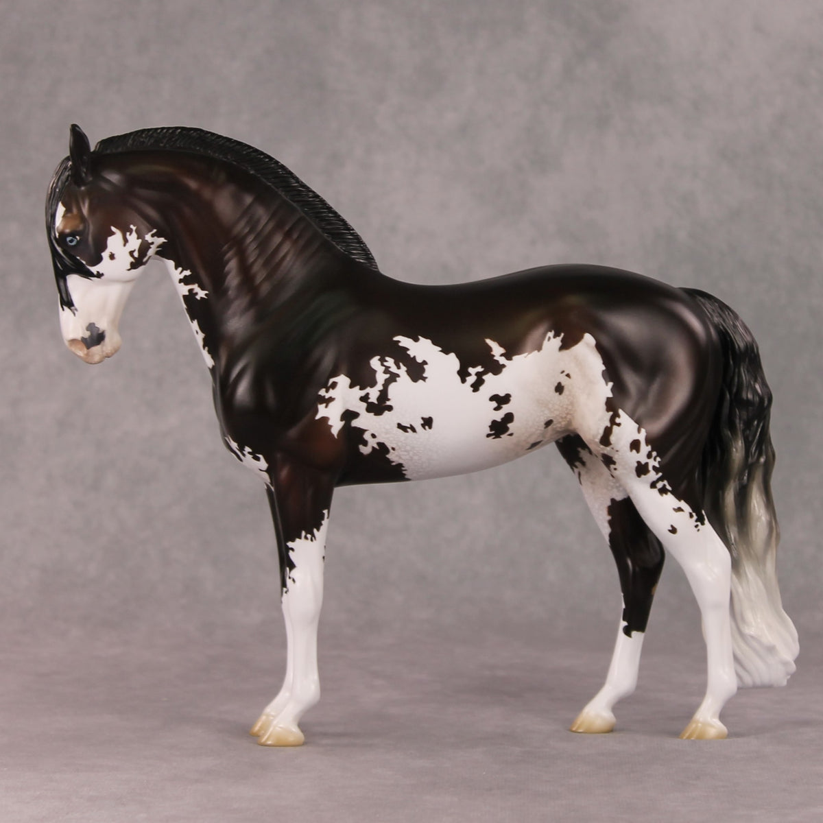 Oymyakon OOAK Bay Pinto Criollo Andalusian By Jess Hamill HS24