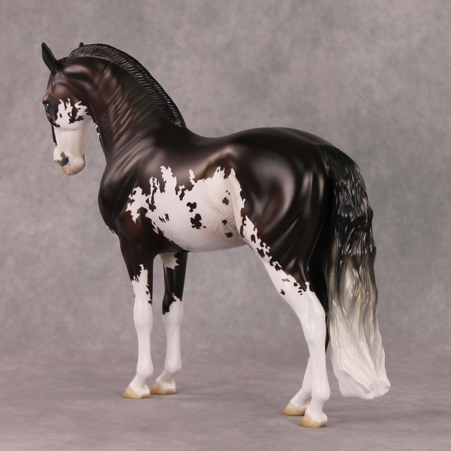 Oymyakon OOAK Bay Pinto Criollo Andalusian By Jess Hamill HS24